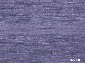 【図1】光学顕微鏡像
