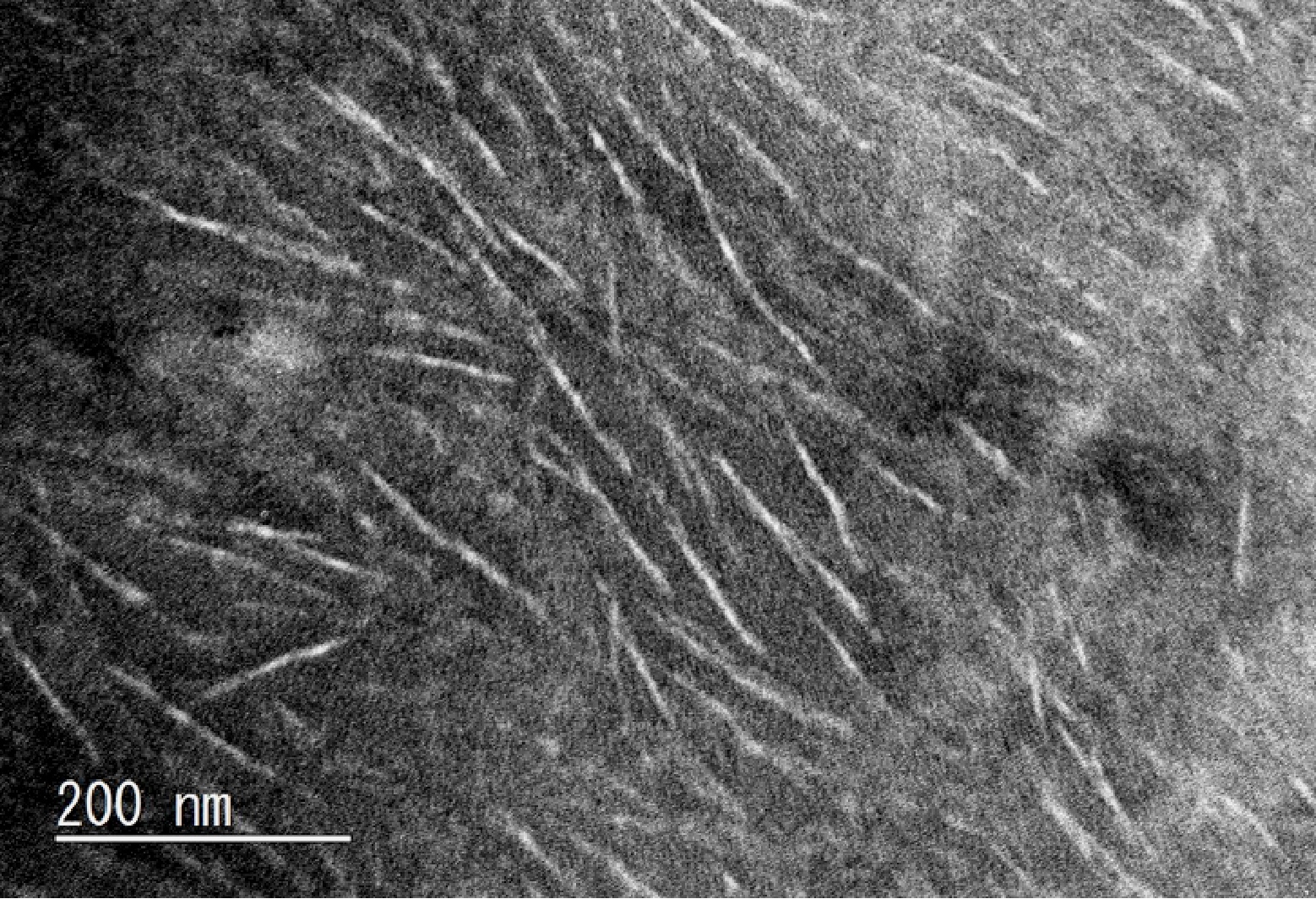 CNF添加合成ゴム
