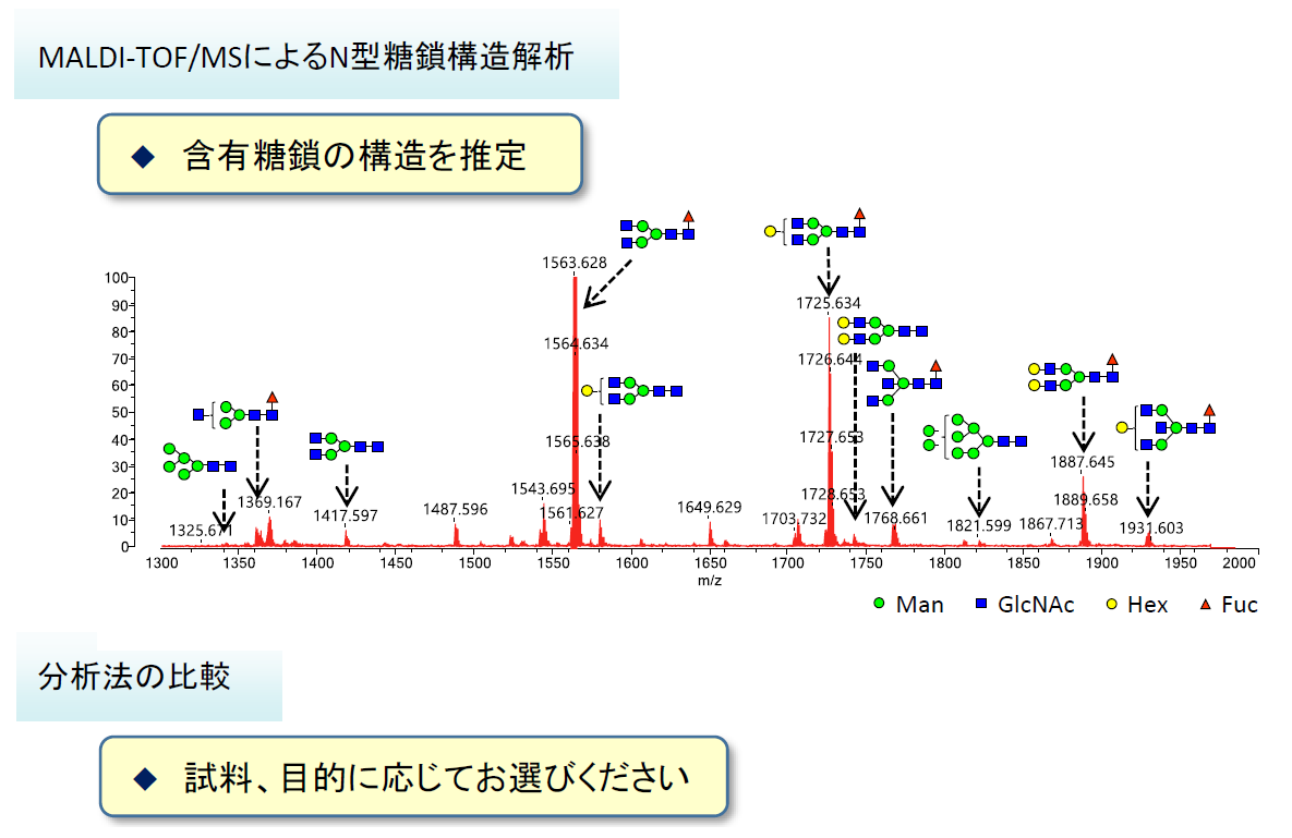 MALDI-TOF/MSによるN型糖鎖構造解析 含有糖鎖の構造を推定 分析法の比較 試料、目的に応じてお選びください