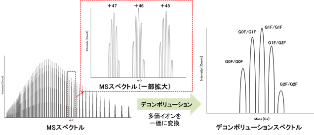 MSスペクトル→（デコンボリューション）→デコンボリューションスペクトル