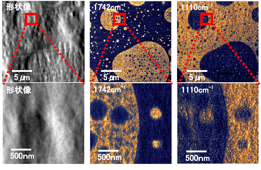 【図1】 左：形状像、中,右：波数イメージング（明るいほど強度が高い）