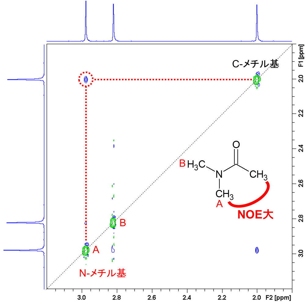 【図2】 DMAの1H-1H NOESYスペクトル（5℃）
