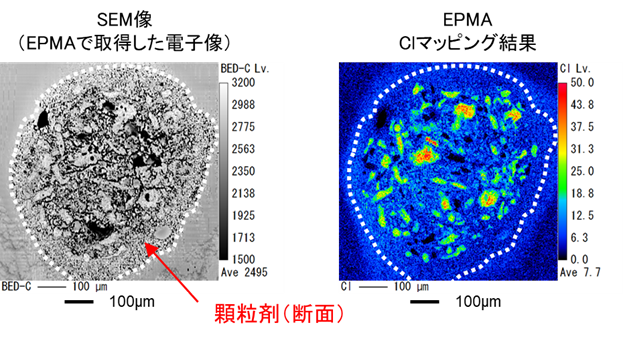 【図1】顆粒剤A(断面)のSEM像とClマッピング結果
